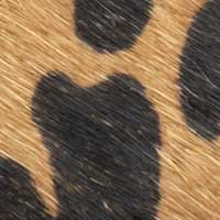 Color Tan Leopard for Sonoma