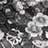 Black Paisley color swatch