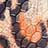 Cheetah color swatch