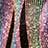 Wave Multi color swatch