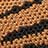 Saddle Tiger color swatch