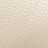 Bone color swatch
