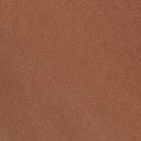 Luggage color swatch