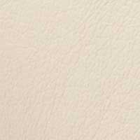 Ivory color swatch