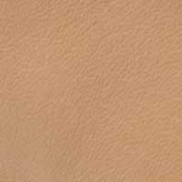 Beige color swatch