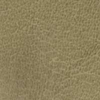 Olive color swatch