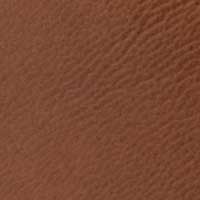 Luggage color swatch