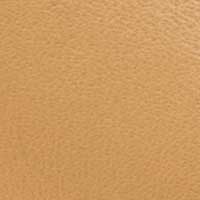 Dusk Yellow color swatch