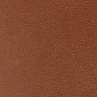 Luggage color swatch