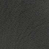 Black color swatch