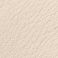 Ivory color swatch