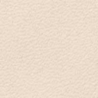 Ivory color swatch