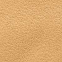 Dusk Yellow color swatch