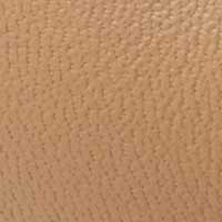 Beige color swatch