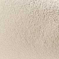 Champagne color swatch
