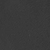 Color Black for Rochester