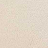 Color Ivory for Tracy 2.0