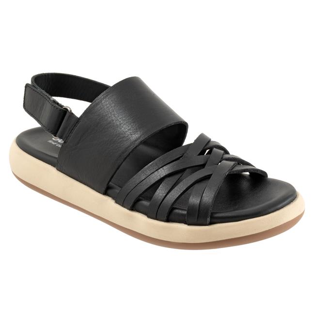 Jewell Black