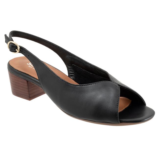 Lakewood Black